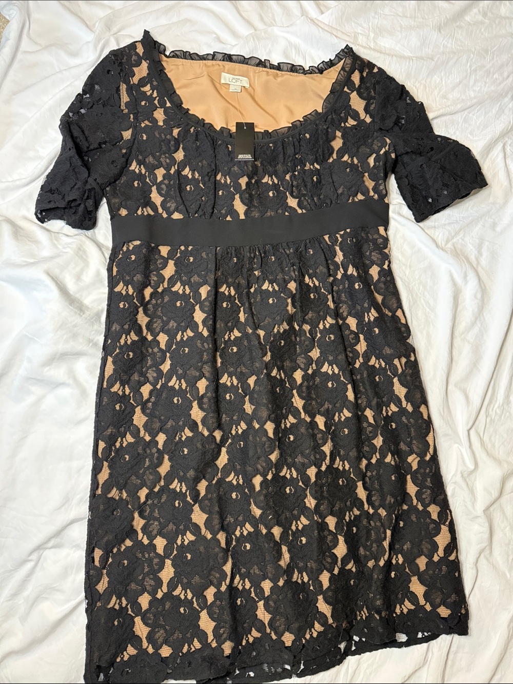 LOFT Black Lace Overlay with Nude Lining Dress